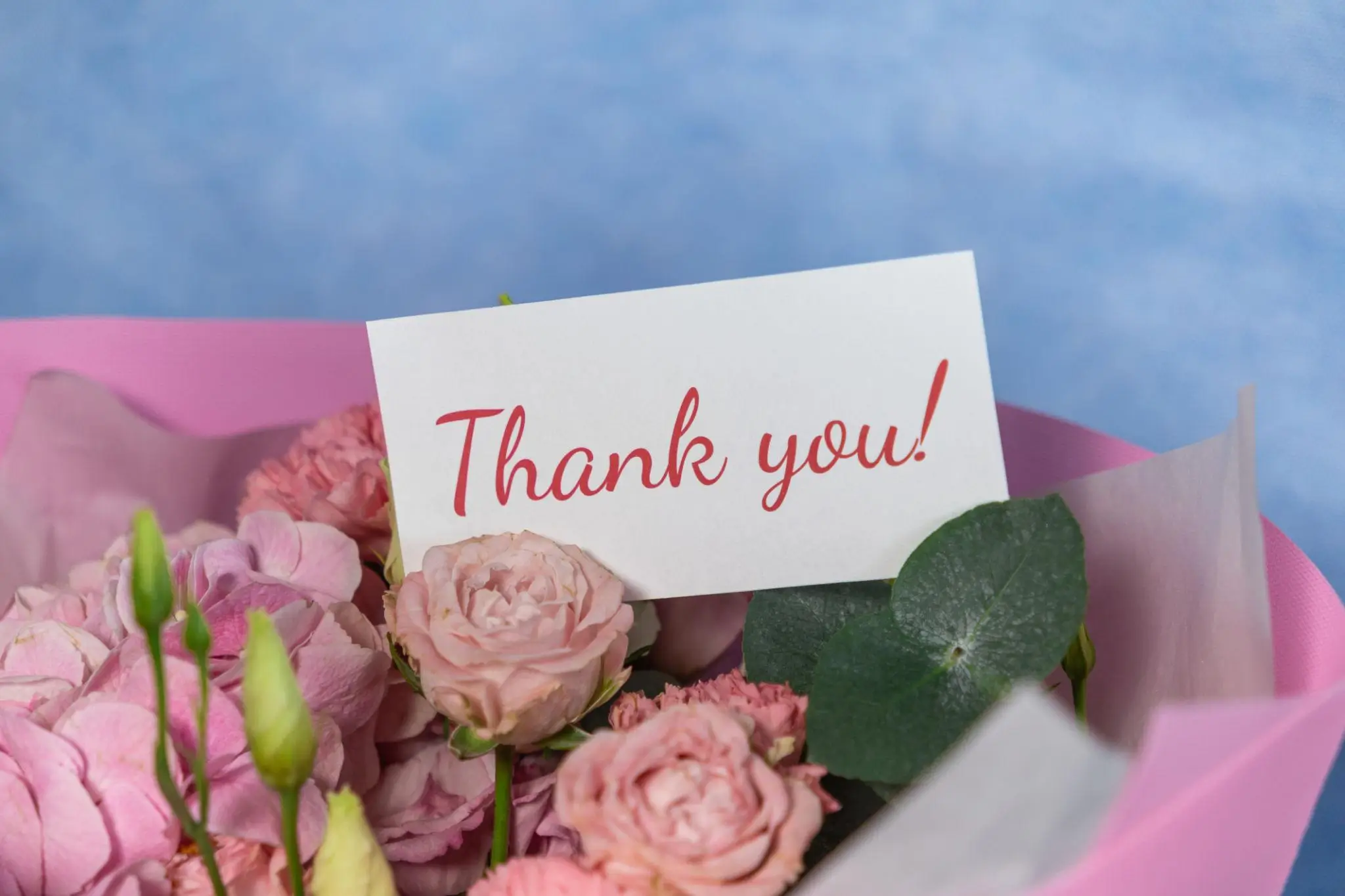 appreciation thank you for birthday wishes